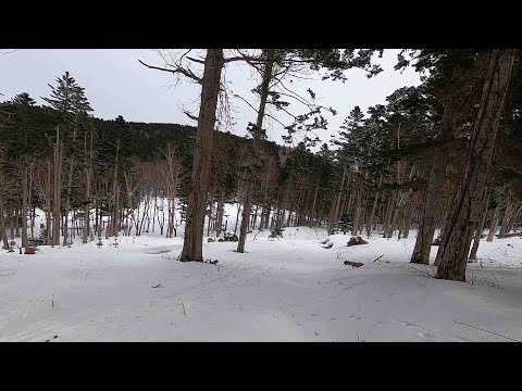 Deer Hunting with the Fox River EXT-1 MagnaCut