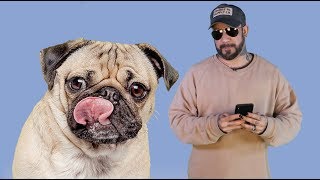 Backstreet Boys' AJ McLean's Favorite Instagram Follows