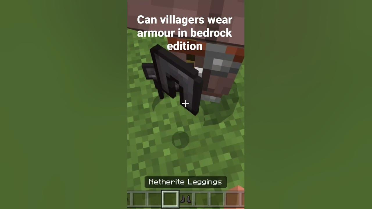 Can villagers wear armour in bedrock edition (ep.12)myth bustingshorts