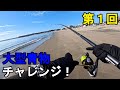 【神奈川県某所】2025年度、第1回大型青物チャレンジ！秋の時期に、関東地方の三浦半島の東京湾側の釣り場で釣りしてみたら、今シーズン初魚種が釣れて想定外の事態に…！【2025年10月】