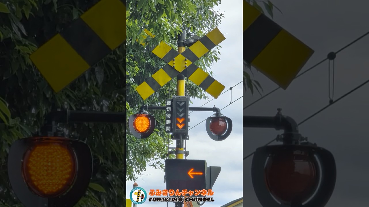 踏切 電車】なにが通るかな？？？【ふみきりショート動画274】 #shorts