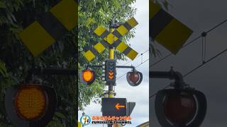 【踏切 電車】なにが通るかな???【ふみきりショート動画274】  #shorts