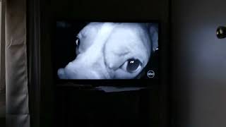 Afv Grand Prize Winner 5222022