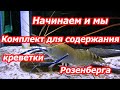 Начинаем и мы, Комплект для содержания выращивания креветки Розенберга