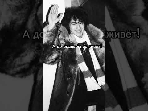 Кино - Муравейник #рок #цой #цойжив