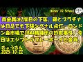 10-22 貴金属は2度目の下落。銀とプラチナは日足でも下降シグナル点灯。ロンドン金市場でLBMA精錬所の詐欺事件。今日はエジプトのプレーボーイと金貨。 (358) きょうきんGT