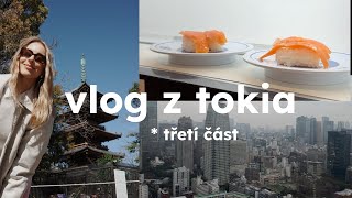 vlog z Tokia | sekáčově nákupy, Tokio Tower & park Ueno