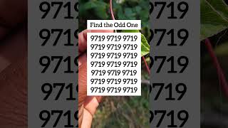 Find The Odd One Visual Logic Challenge Ep.2681