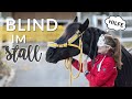 Blind im stall  geht das gut  vlog 70  pilsali