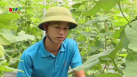 Nông dân Định Hóa sản xuất, tiêu thụ nông sản theo xu thế 4.0