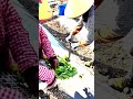 Spinach Farming | Planting to Harvesting Process #shorts