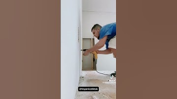 Fastest Hispanic Workers #fieldwork #digging #viralshorts #viralvideo #tree #treeworker