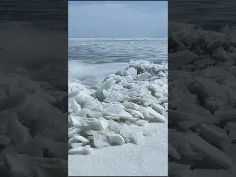 Qinghai Lake Opening