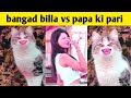 Bagad billa vs papa ki pari  bangad billa new bagadbilla viral rosting