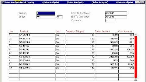 DYNAMIC 3i Free Edition ERP tutorials - sales detail inquiry