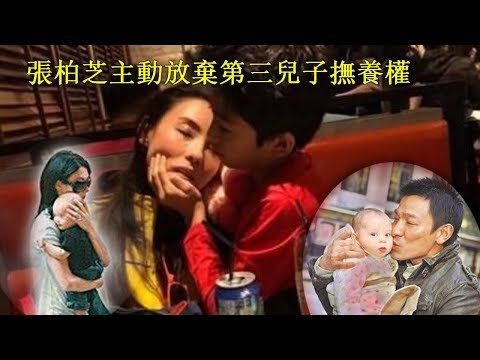 張柏芝主動放棄第三兒子撫養權，把孩子交給劉德華，狠心要素58億生子費，朱麗倩同意並接孩子回家照顧