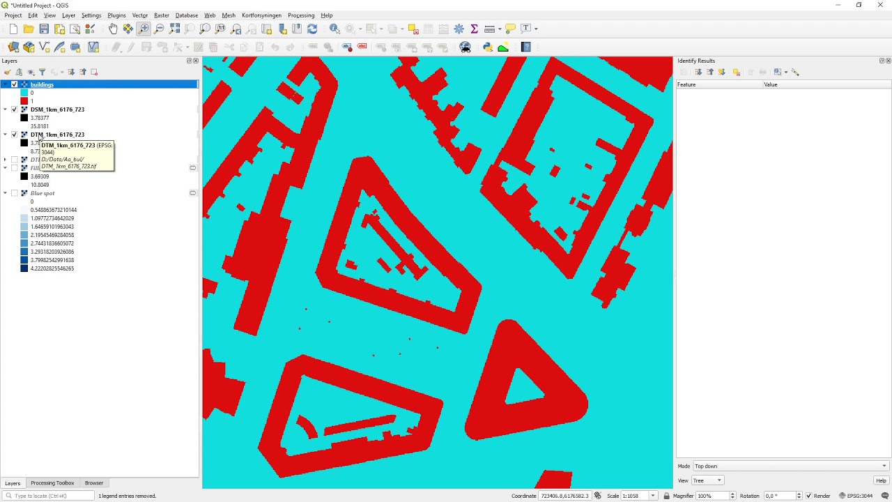 Combining DSM and DTM data for urban surface water flow modelling