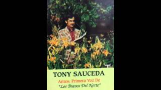 Video thumbnail of "Fui Encontrado -- Tony Sauceda"