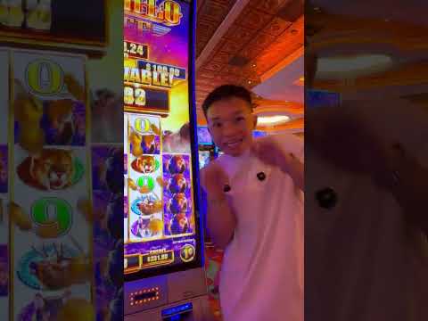 How We Ranked the Top Progressive Jackpots