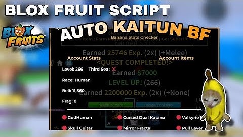 [UPDATE 24] BLOX FRUIT SCRIPT | Banana Cat Hub | Auto Kaitun (BloxFruits)​