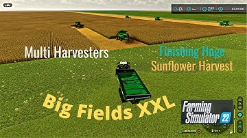 FS22 Big Fields XXL Multi Harvesters Huge Sunflower Harvest Courseplay & Autodrive