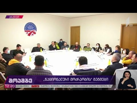 „ნაციონალური მოძრაობის“ გეგმები