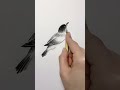 "Realistic Bird Drawing with Pencil | Easy Sketch Tutorial for Beginners ✏️🕊️"