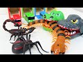 Tayo the little bus & Giant Croc Toy Monster Insect, spider, scorpion funny story!