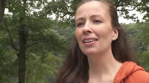 Interchange Level 1 Unit 5 Video