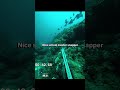 hunting Snappers in deep water #fishing #spearfishing