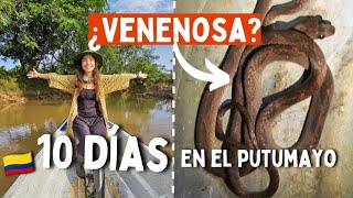 ⚠¿Culebra VENENOSA? 10 DÍAS en un LUGAR ÚNICO en COLOMBIA  EL PUTUMAYO