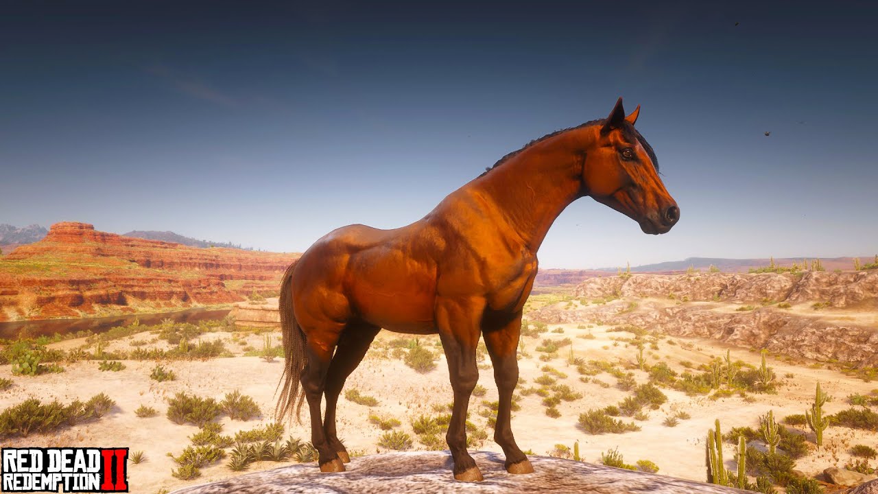 American Quarter Horse Mod Light Bay Coat by MDBranth RDR2 YouTube