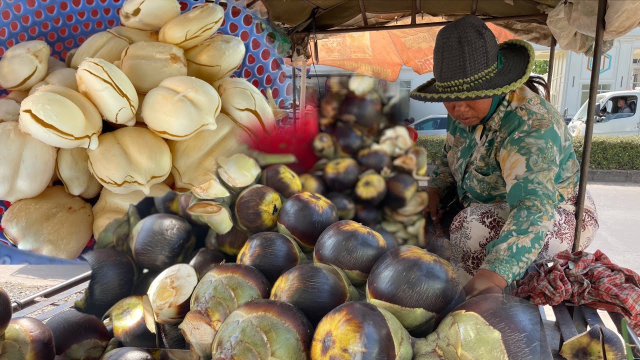 Amazing Palm Fruit Harvestigg | Cutting of Big Sugar Palm Fruit in Cambodia