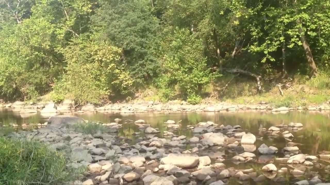 My morning motivation... Kim Kroner