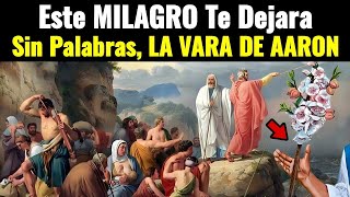 Why did God make Aaron's rod flourish? (explanation of the biblical story)