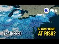 Understanding Extreme Rain Events and Flood Risks