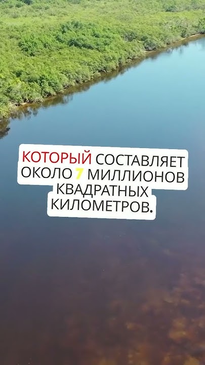 Ты помнишь, как называется самая большая река в мире? #река # ...