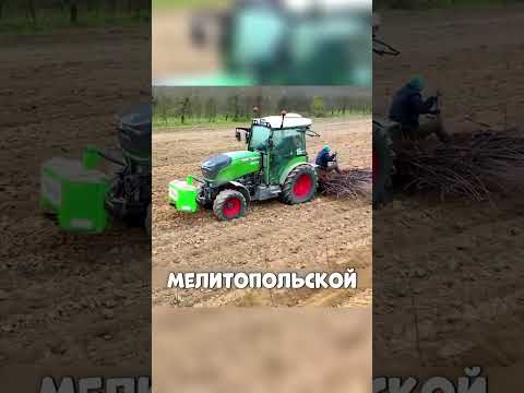 Как стать МИЛЛИОНЕРОМ на ягодах 😎🍒👨🌾