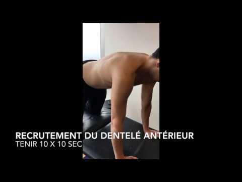 video phone beyonce mp3 Recrutement du dentelé antérieur à 4 pattes