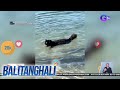 Trending - Dalawang pusang enjoy sa pagligo sa dagat | Balitanghali