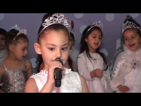 2017 წლის საახალწლო ზეიმი