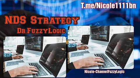 NDS strategy (Dr.Fuzzylogic)1