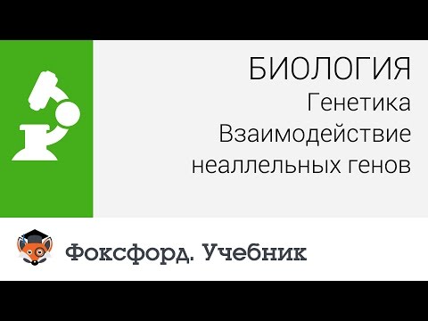 Биология. Генетика: Взаимодействие неаллельных генов. Центр онлайн-обучения «Фоксфорд»