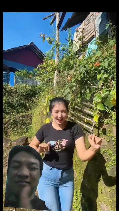 joget dangdut..#greenscreen #goyang #shorts #shortvideo #goyangtiktok #jogettiktok