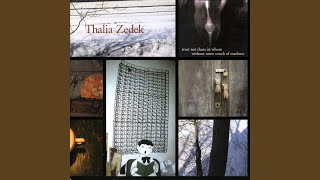 Vignette de la vidéo "Thalia Zedek - Bone"