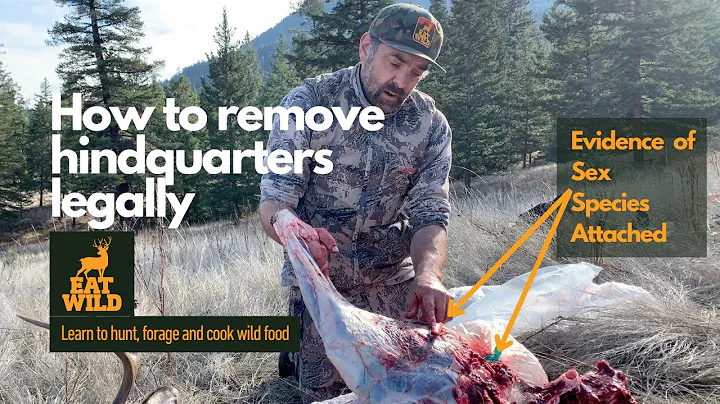 Tips for leaving evidence of species and sex on a hind quarter - DayDayNews