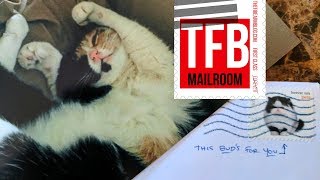 TFBTV Mailbag #2: The Dark Mailbag Rises