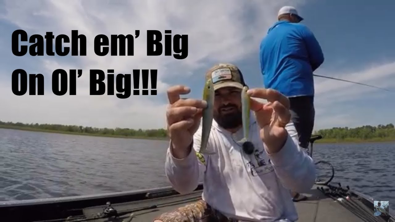 Lake Fork Bass Fishing: Hollow Body Swimbait Tips!!!