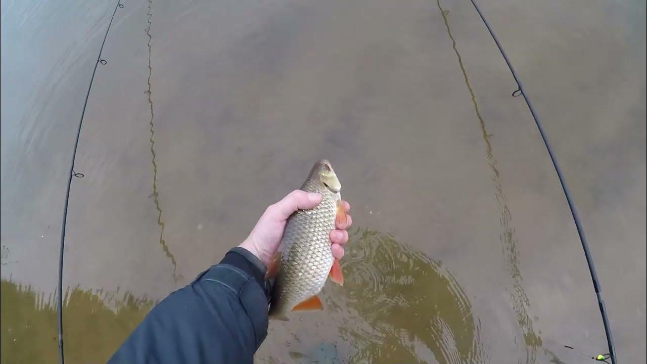 Feeder and float Fishing, Appleton Res YouTube