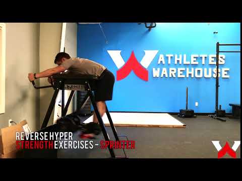 REVERSE HYPER Strength for Sprinting